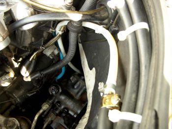  www.pflanzenoelauto.info - Bei Klick ffnet neues  Fenster
