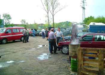 � www.harald-koenig.com - Bei Klick �ffnet neues  Fenster