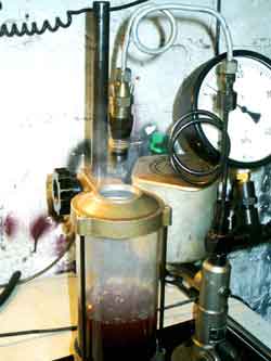 � www.harald-koenig.com - Bei Klick �ffnet neues  Fenster