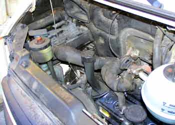  www.pflanzenoelauto.info
