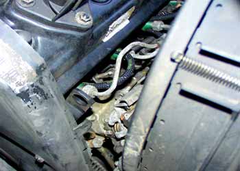  www.pflanzenoelauto.info