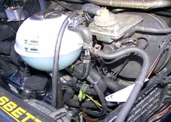  www.pflanzenoelauto.info
