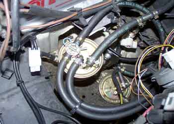  www.pflanzenoelauto.info