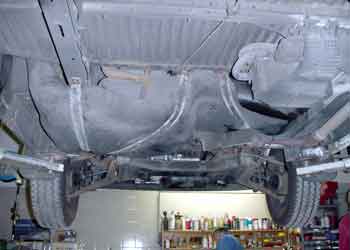  www.pflanzenoelauto.info