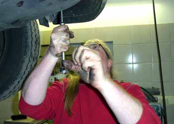  www.pflanzenoelauto.info