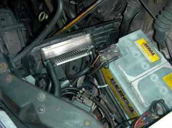  www.pflanzenoelauto.info